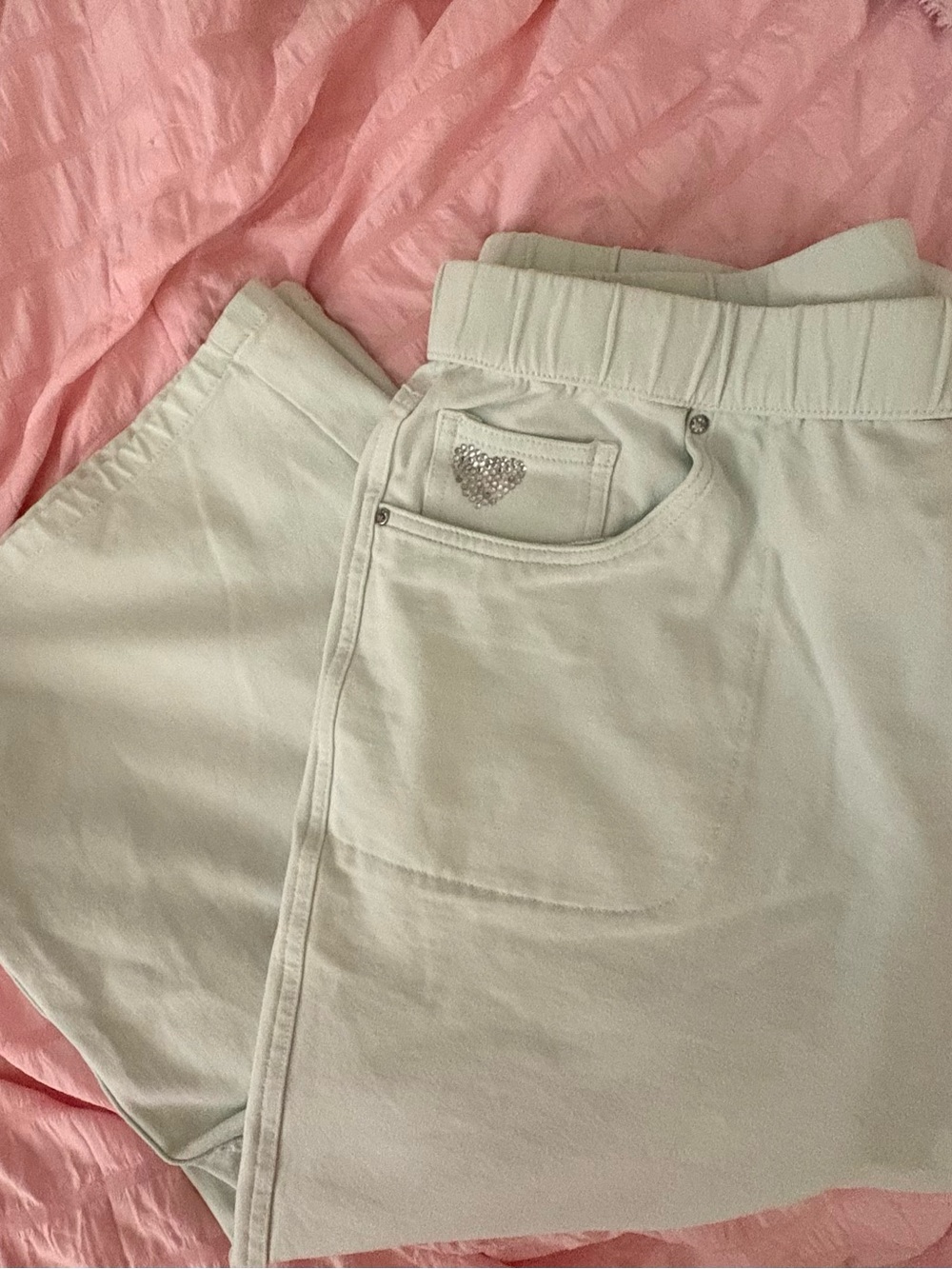 DREAMJEANNES BY QUACKER FACTORY WOMENS MINT GREEN CAPRI PANTS SZ L Short